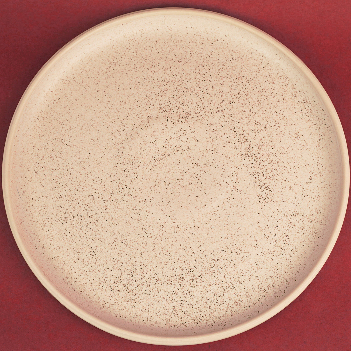 Big Dinner Plate Barkley